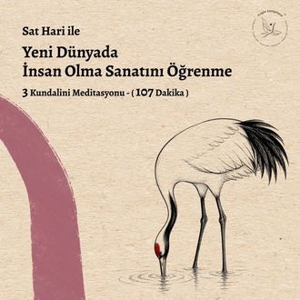 Yeni Dünyada İnsan Olma Sanatını Öğrenme