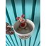 Piglet Mug