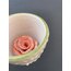 Rose Cup