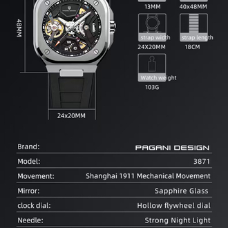 Pagani desing
