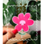 Flower Friends Sticker Seti