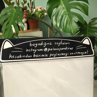 Kedi Boyama Seti