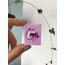 Purple Unicorn  XS Mini Defter