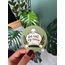 Sweet Skulls Sticker Seti