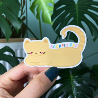  Akrep Burcu Kedi Sticker