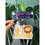 Zodiac Cat Sticker Seti