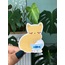 Balık Burcu Kedi Sticker