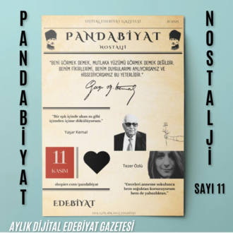 Pandabiyat Nostalji Aylık Dijital Edebiyat Gazetesi–Sayı 11