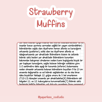Strawberry Muffins Yazı Fontu