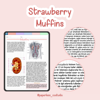 Strawberry Muffins Yazı Fontu