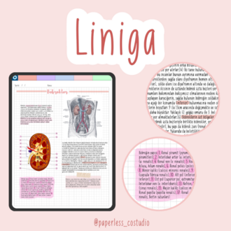 Liniga Yazı Fontu