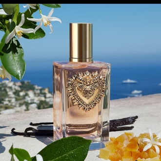 Dolce Gabbana Devotion