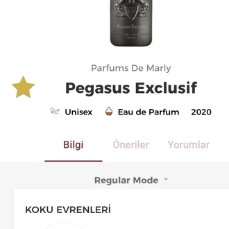 Parfums de Marley Pegasus Exclusif Edp Unisex Parfüm 125ml
