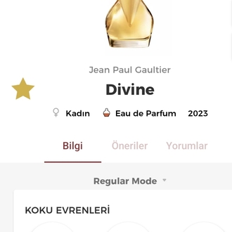 Jean Paul Gaultier Divine Edp Kadın Parfümü 125ml