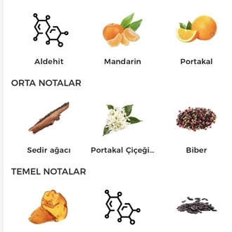 Allure Home Sport Erkek Parfümü Edt 100ml