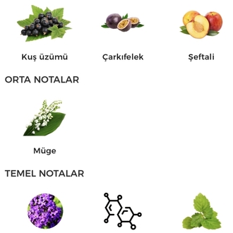 Tiziana Terenzi Kirke Edp Unisex 100ml