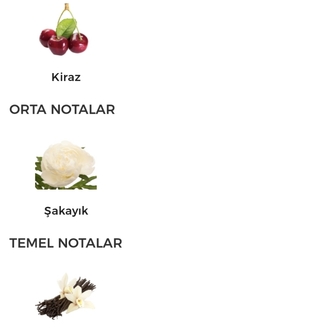 Victoria's Bombshell İntense Edp Kadın Parfümü 100ml