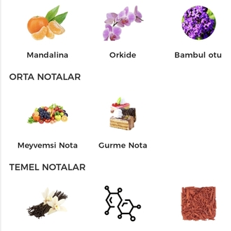 Lattafa Yara Edp Kadın Parfümü 100ml 