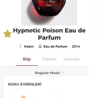 Hypnotic Poison Dior Kadın Parfümü Edp 100ml 