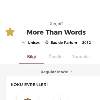 Xerjoff More Than Words Edp 100ml Unisex 