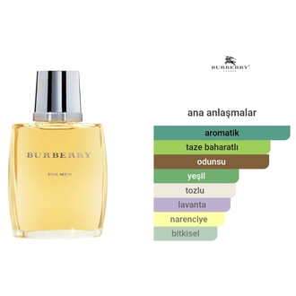 Burberry Classic For Men Edt Erkek Parfümü 100ml