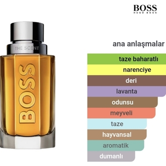 Hugo Boss The Scent Erkek Parfümü 100ml