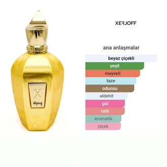Xerjoff Accento Overdose Edp Unisex 100ml