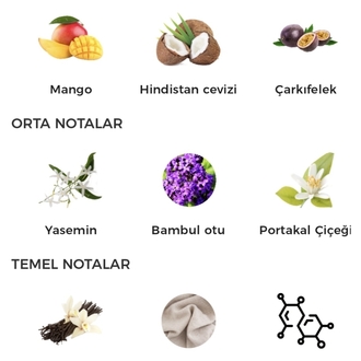 Lattafa Yara Tous Edp Kadın Parfümü 100ml