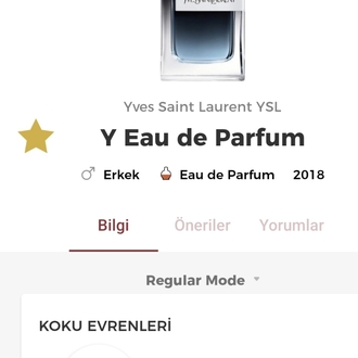 Yves Saint Laurent Y Erkek Parfümü Edp 100ml