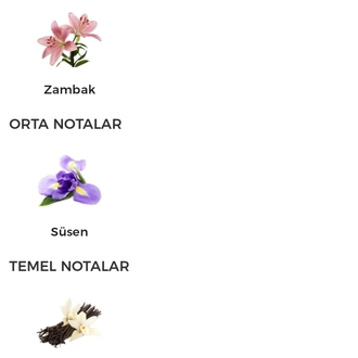 Jean Paul Gaultier La Belle Fleur Terrible Edp Kadın Parfümü 125ml