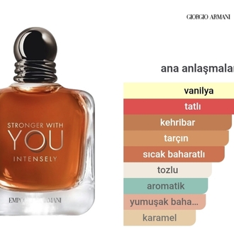 Stronger With You İntelsely Edp Erkek Parfümü 100ml