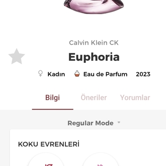 Calvin Klein Euphoria EDT 100ml Kadın Parfümü