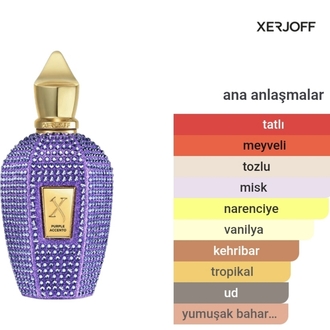 Xerjoff Purple Accento 100ml Unisex