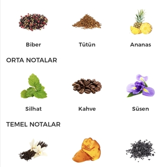 Lattafa Asad Edp Erkek Parfümü 100ml