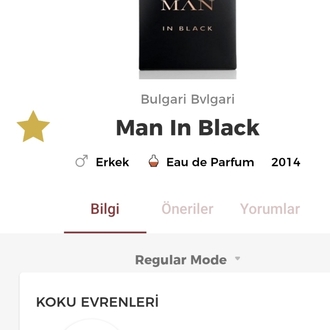 Bvlgari Man İn Black Erkek Parfümü 100ml