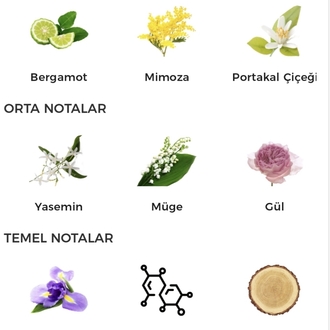 Bvlgari Voile De Jasmin Edt Kadın Parfümü 100ml 