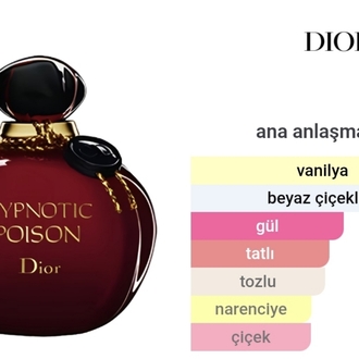 Hypnotic Poison Dior Kadın Parfümü Edp 100ml 