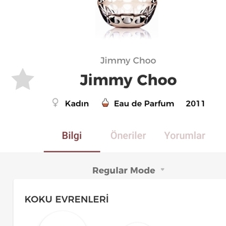 Jimmy Choo EDP Kadın Parfüm 100 ml