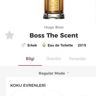 Hugo Boss The Scent Erkek Parfümü 100ml