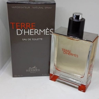 Terre Hermès Erkek