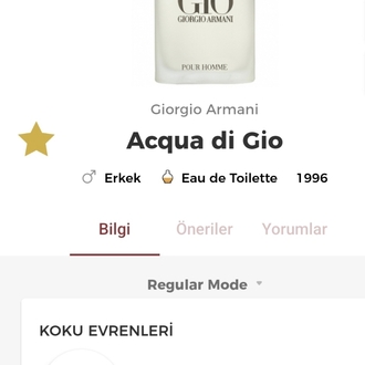 Giorgio Armani Acqua di Gio Pour Homme Edt Erkek Parfümü 100ml 