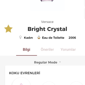 Versace Bright Crystal Kadın Parfümü Edt 90ml