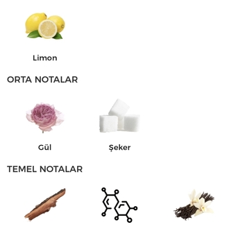 Mancera Roses Vanille Edp Kadın Parfümü 120ml
