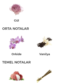 Lancôme La Nuit Tréso Kadın Parfümü Edp 100ml
