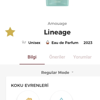 Amouage Lineage Edp Unisex Parfüm 100ml