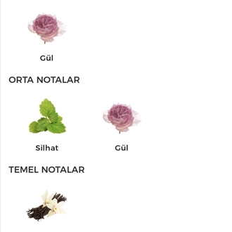 Cholé Absolu Edp Kadın Parfümü 75ml