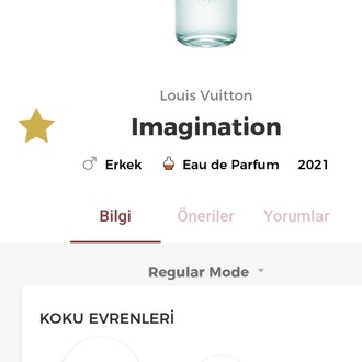 Louis Vuitton İmagination Edp Erkek Parfümü 100ml