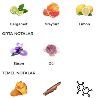 Casamorati Mefisto Edp Erkek Parfümü 100ml 