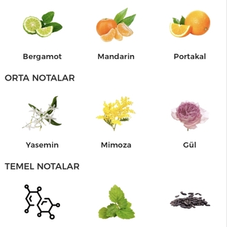 Chanel Coco Mademoiselle Edp Kadın Parfümü 100ml