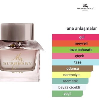 My Burberry Blush Edp Kadın Parfümü 90ml
